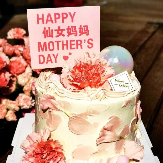 母爱无边 商品图0