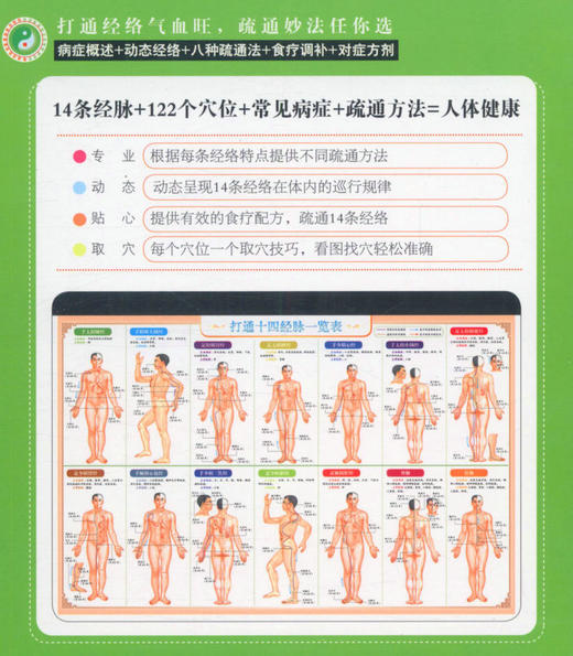 【推荐】图解人体经络使用手册/打通人体奇经八脉濡养气血经络法门超简单快速取穴学用经络祛百病使脾胃为王用饮食经络调养 商品图2