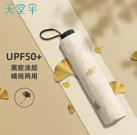 【母亲节礼物】天堂伞 雨伞黑胶防晒防紫外线太阳伞遮阳晴雨伞男女 银杏飞舞 米黄 57CM*8骨 商品图0