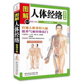 【推荐】图解人体经络使用手册/打通人体奇经八脉濡养气血经络法门超简单快速取穴学用经络祛百病使脾胃为王用饮食经络调养