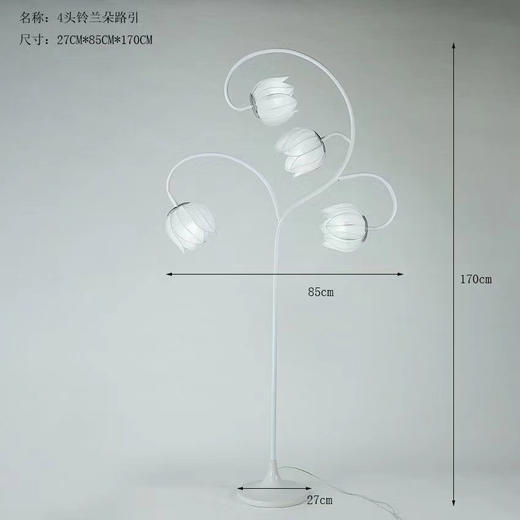 4头铃兰朵路引（运费自理） 商品图0