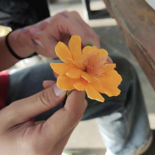 母亲节专场活动 | 农园活动 * Mother‘s Day | Farm activities 商品图4