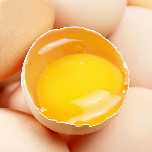 【河南·南阳】新鲜农家散养五谷喂养玉米黄土鸡蛋 新鲜营养健康鸡蛋 商品图5