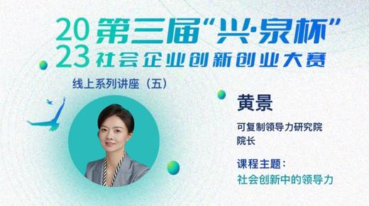 （五）社会创新中的领导力 商品图0