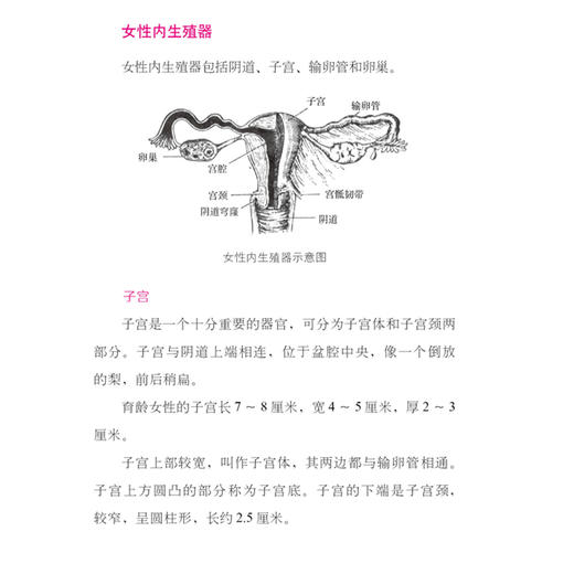 《协和名医说妇科肿瘤》 商品图5
