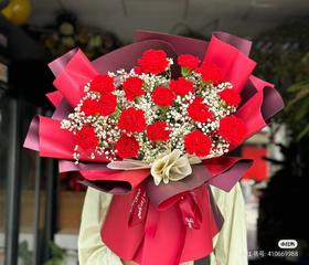 16支红康乃馨花束（拼团）