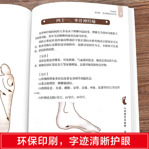 【推荐】正版3册 形色面诊 形色手诊 形色舌诊 中医基础诊断入门书 养生望诊零基础学临床医学类健康调理书 中医养生书籍排行榜 商品图4