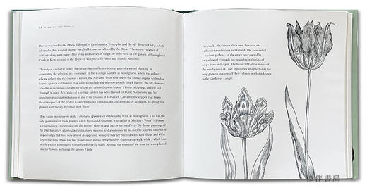 Pick of the Bunch: The Story of Twelve Treasured Flowers / 百花齐放：十二种珍爱花朵的故事 商品图3