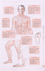 【推荐】图解人体经络使用手册/打通人体奇经八脉濡养气血经络法门超简单快速取穴学用经络祛百病使脾胃为王用饮食经络调养 商品缩略图4