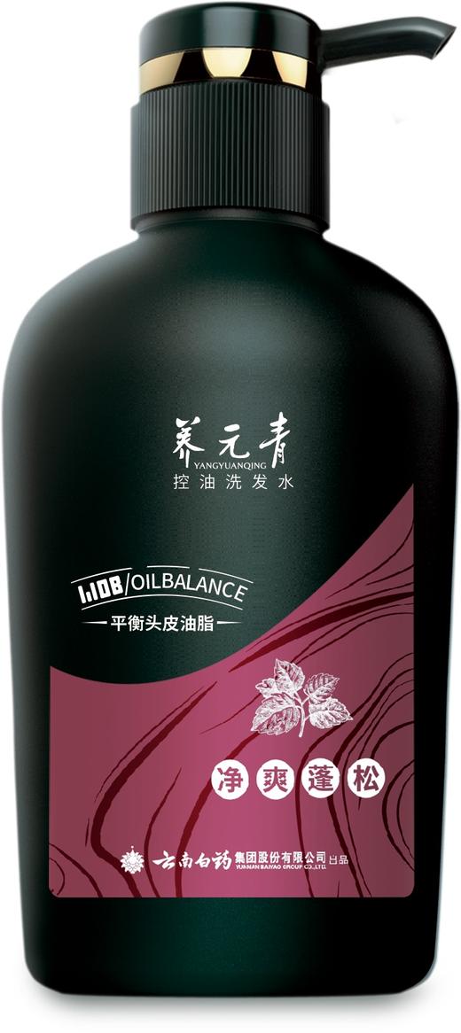 养元青无硅油控油洗发水净爽蓬松500ml（6901070606670） 商品图0