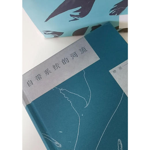 【签名本】《自带系统的河流》燎原 著、广西师范大学出版社 商品图5