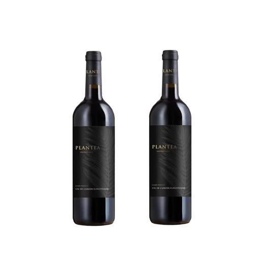 【单瓶】布朗缇干红葡萄酒 750ml 14度 法国原瓶进口 商品图1