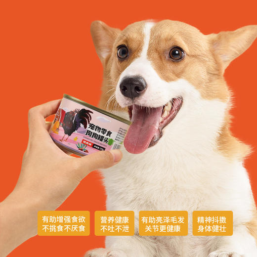 麦斯蒂狗狗零食犬罐头170g*12罐 整箱装 湿粮 营养伴粮 鸡肉、牛肉味 商品图3