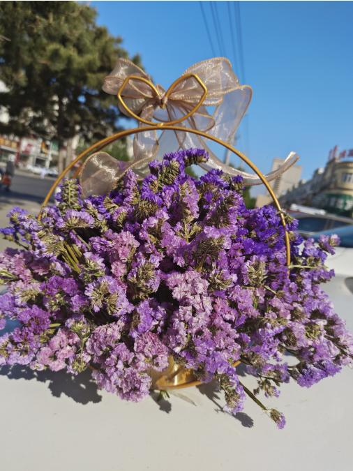 勿忘我铁艺花篮（拼团） 商品图1