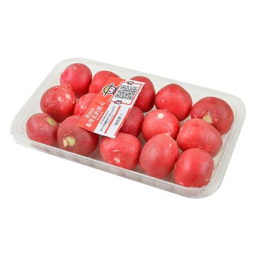 放心樱桃萝卜300g 商品图4