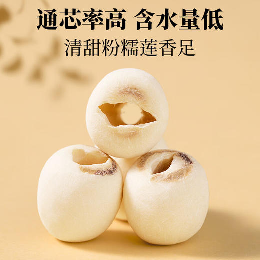 神农金康 百合干莲子组合(莲子250g 百合125g) 原生态真滋补 喝护家人健康 商品图7