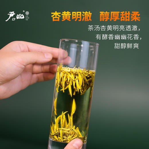 【倩倩直播间推荐】君山银针黄茶组合 君山银针52g/盒+君山秀峰75g/盒+金币茶（黄茶紧压茶）90g/盒 商品图3