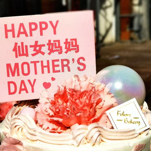 母爱无边 商品图1