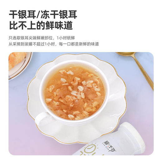 【冯站长专属】猫千岁燕麦银耳鲜露 0脂低糖代餐 营养早餐 220ml*6瓶 zb 商品图4