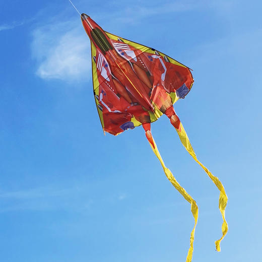 【儿童玩具】儿童轰战机风筝飞机战斗机长尾造型立体户外玩具 商品图2