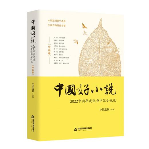 中国好小说 中篇卷 2022中国年度优秀中篇小说选  商品图0