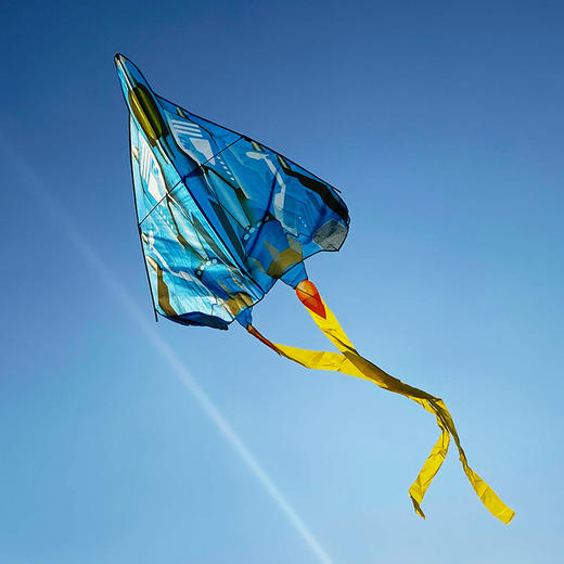 【儿童玩具】儿童轰战机风筝飞机战斗机长尾造型立体户外玩具 商品图3