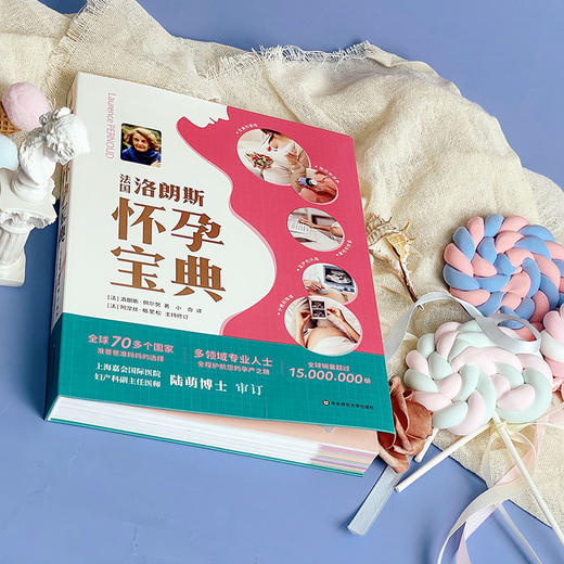 法国洛朗斯怀孕宝典 准爸爸准妈妈 家庭育儿 解答孕期疑问 真实案例 商品图3