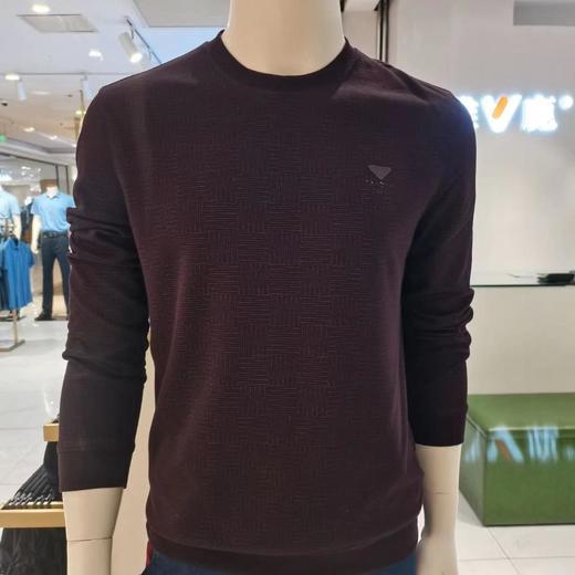 南4雅鹿男装长袖圆领T恤228707 商品图0