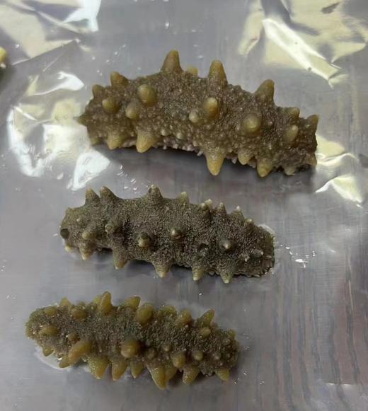【无添加】正经的大连即食海参 大号   500克/袋（6头/8头自选） 冷冻保存 商品图1