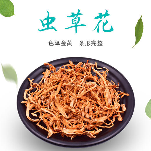 山臻U品虫草花220g 商品图1