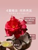 三生花密集修护精华素 商品缩略图2