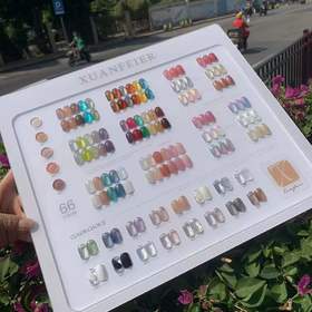 【秒杀价】66色透色系版