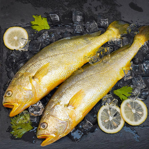 中粮凌鲜 东海生态大黄鱼（三去）400g/袋 商品图2