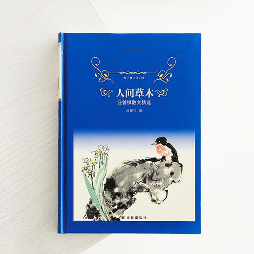 经典译林 人间草木 汪曾祺散文精选 汪曾祺 著 文学 商品图1