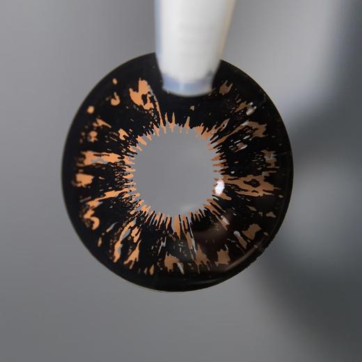 AgensColor大直径品牌-黑莓传说棕 商品图4