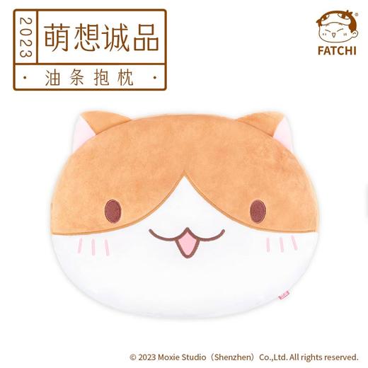 【抱枕全家福】如果历史是一群喵肥志官方周边毛绒靠垫头枕背枕 商品图10