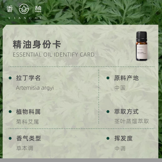 「课程·单方油」XIANGQI香憩︱中国艾叶精油 5ml/瓶 商品图2