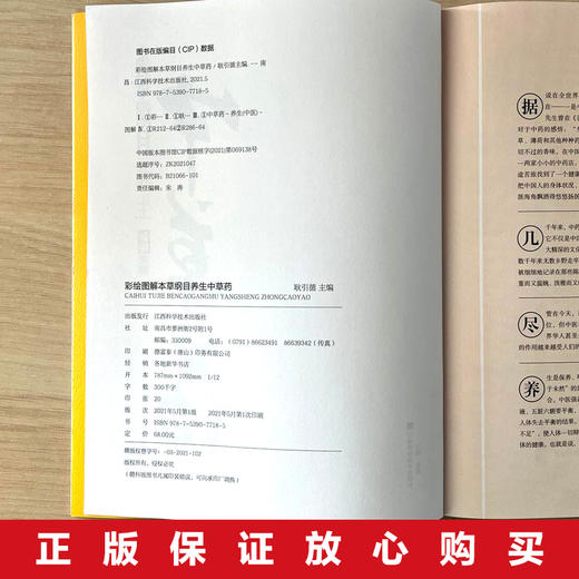 【推荐】本草纲目养生中草药  图解彩绘版 商品图4