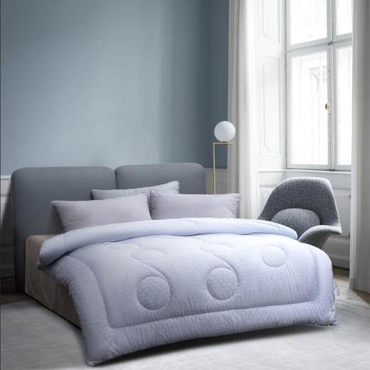 水星家纺 DH悠然负离子四季被200cm×230cm 商品图1