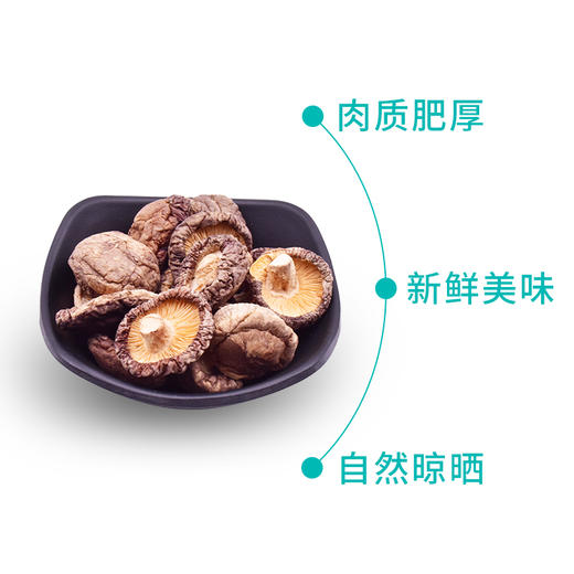 山臻U品金钱菇300g 商品图2