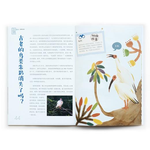 了不起的中国地理(全8册)/化学工业出版社/有鱼童书/7122200144223 商品图1