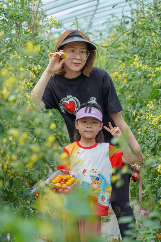 自然课程-青秧插满田 商品图7