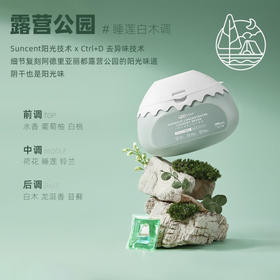 UPO 元本生活 小雪山无患子洗衣凝珠 240g