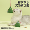 zeze好粽意你猫薄荷玩具-B  商品缩略图4