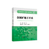 金属矿地下开采/汤丽主编 商品缩略图0