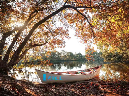 精品木船 水上划船 1小时 商品图0