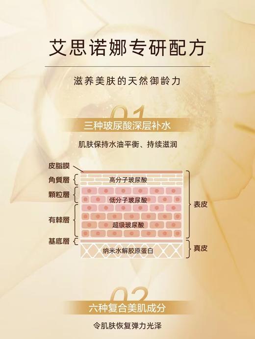 艾思诺娜焕润修护眼霜20ml 商品图3