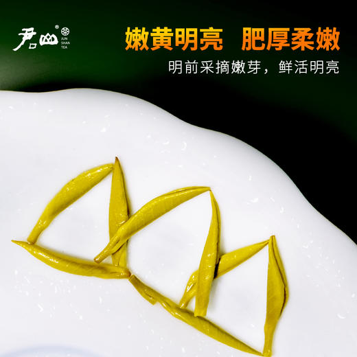 【倩倩直播间推荐】君山银针黄茶组合 君山银针52g/盒+君山秀峰75g/盒+金币茶（黄茶紧压茶）90g/盒 商品图4