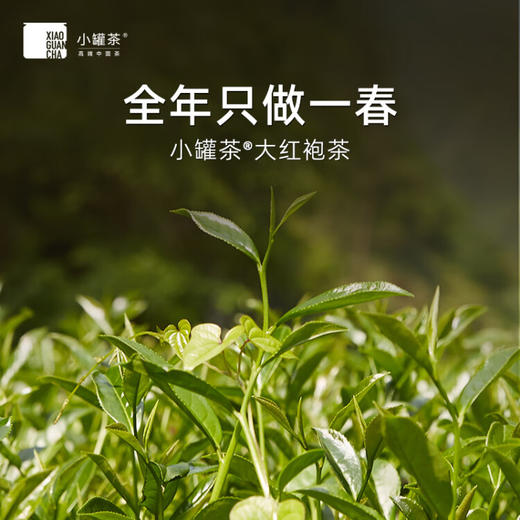 【小罐茶】银罐10罐装大红袍茶 (10*4g) 商品图2
