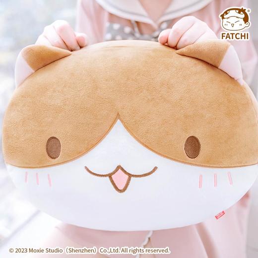 【油条抱枕】萌想诚品如果历史是一群喵历史喵肥志靠垫卡通动漫 商品图0